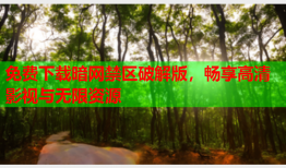 免费下载暗网禁区破解版，畅享高清影视与无限资源