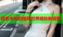 探索未知的暗网世界揭秘新视野