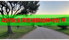 如何安全探索暗网的神秘世界
