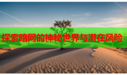 探索暗网的神秘世界与潜在风险
