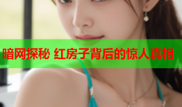 暗网探秘 红房子背后的惊人真相