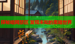 探秘暗网禁区 发现未知的黑暗世界
