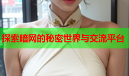 探索暗网的秘密世界与交流平台