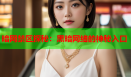 暗网禁区探秘：黑暗网络的神秘入口