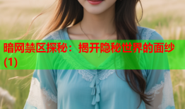 暗网禁区探秘：揭开隐秘世界的面纱(1)