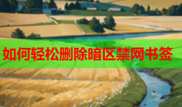 如何轻松删除暗区禁网书签