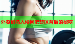 外资悄然入侵网吧禁区背后的秘密