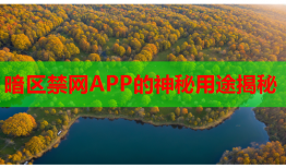 暗区禁网APP的神秘用途揭秘
