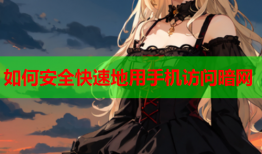 如何安全快速地用手机访问暗网