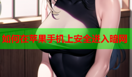 如何在苹果手机上安全进入暗网