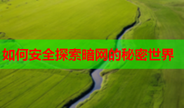 如何安全探索暗网的秘密世界