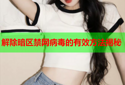解除暗区禁网病毒的有效方法揭秘