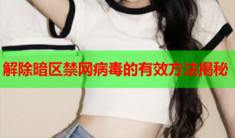 解除暗区禁网病毒的有效方法揭秘