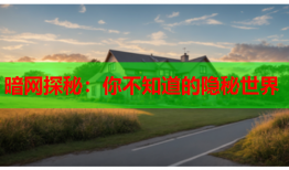 暗网探秘：你不知道的隐秘世界