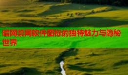 暗网禁网软件图标的独特魅力与隐秘世界