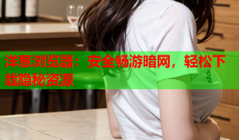 洋葱浏览器：安全畅游暗网，轻松下载隐秘资源