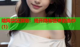 暗网禁区探秘：揭开隐秘世界的面纱(1)