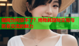 暗网为何禁不了？揭秘其隐秘交易与匿名交流的魅力
