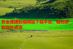 安全便捷的暗网站下载平台，轻松获取隐秘资源