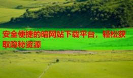 安全便捷的暗网站下载平台，轻松获取隐秘资源