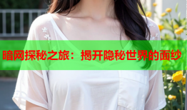暗网探秘之旅：揭开隐秘世界的面纱