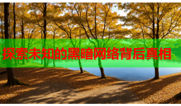 探索未知的黑暗网络背后真相