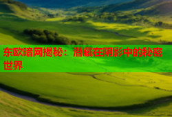东欧暗网揭秘：潜藏在阴影中的秘密世界