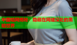 中国暗网揭秘：隐藏在网络深处的黑暗世界