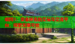 暗网3：安全匿名的交易与交流平台，探索无限可能