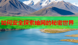 如何安全探索暗网的秘密世界