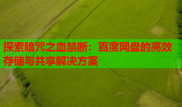探索暗咒之血禁断：百度网盘的高效存储与共享解决方案