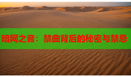 暗网之音：禁曲背后的秘密与禁忌
