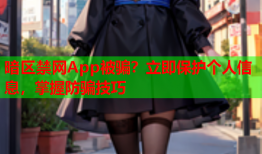 暗区禁网App被骗？立即保护个人信息，掌握防骗技巧