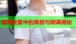 暗网迷雾中的真相与阴谋揭秘