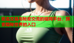 匿名交易与秘密交流的暗网平台，探索隐秘世界的入口