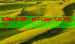 暗网的黑暗面：你不知道的恐怖真相(1)