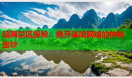 暗网禁区探秘：揭开黑暗网络的神秘面纱