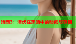 暗网3：潜伏在黑暗中的秘密与真相