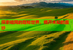 探索暗网的隐秘世界，揭开未知的面纱
