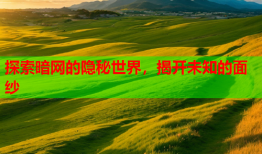 探索暗网的隐秘世界，揭开未知的面纱
