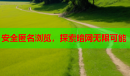 安全匿名浏览，探索暗网无限可能
