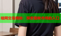 暗网交易揭秘：探索隐秘市场的入口