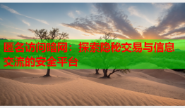 匿名访问暗网：探索隐秘交易与信息交流的安全平台