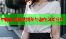 中国暗网现状揭秘与潜在风险分析
