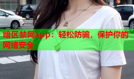 暗区禁网app：轻松防骗，保护你的网络安全