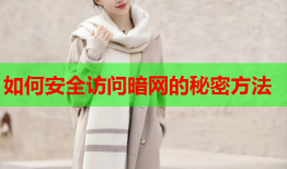 如何安全访问暗网的秘密方法