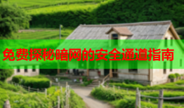 免费探秘暗网的安全通道指南