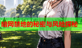 暗网禁地的秘密与风险探秘