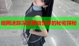 暗网迷踪深潜黑暗世界的秘密探秘