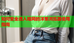 如何安全进入暗网的洋葱浏览器使用指南